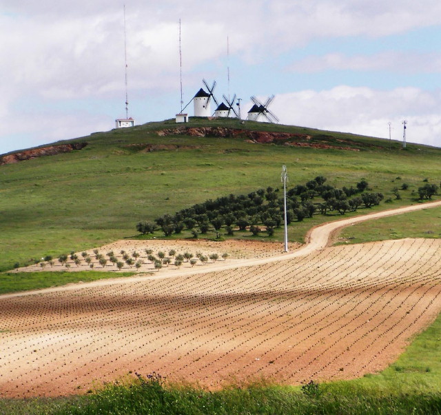 img0024.jpg