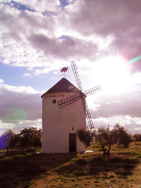 img0026.jpg