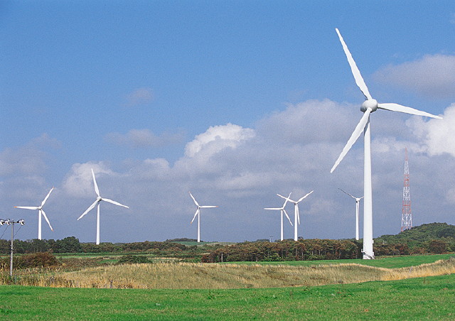 img0036.jpg