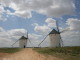 img0009.jpg