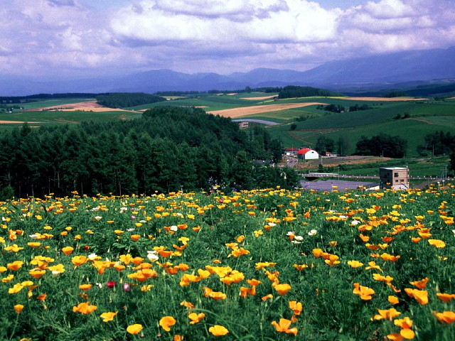 img0000.jpg