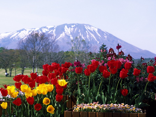 img0009.jpg