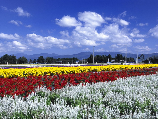 img0010.jpg