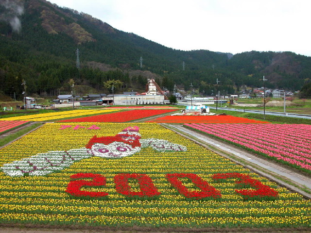 img0014.jpg