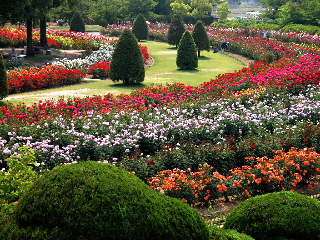 img0017.jpg