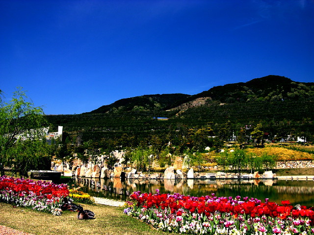 img0020.jpg