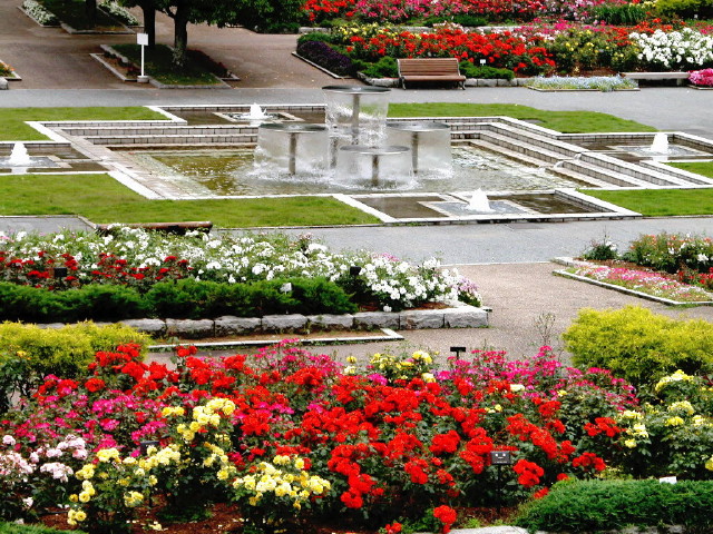 img0021.jpg