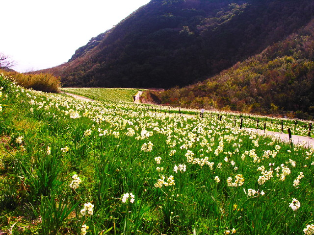 img0022.jpg
