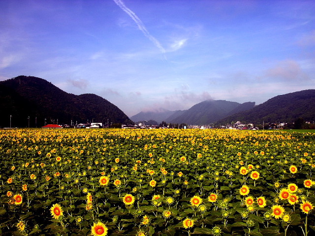 img0023.jpg