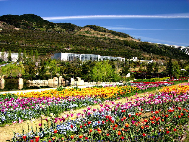 img0024.jpg