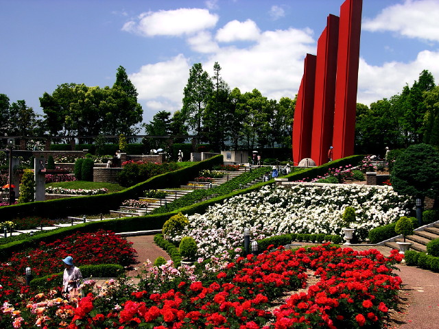 img0025.jpg