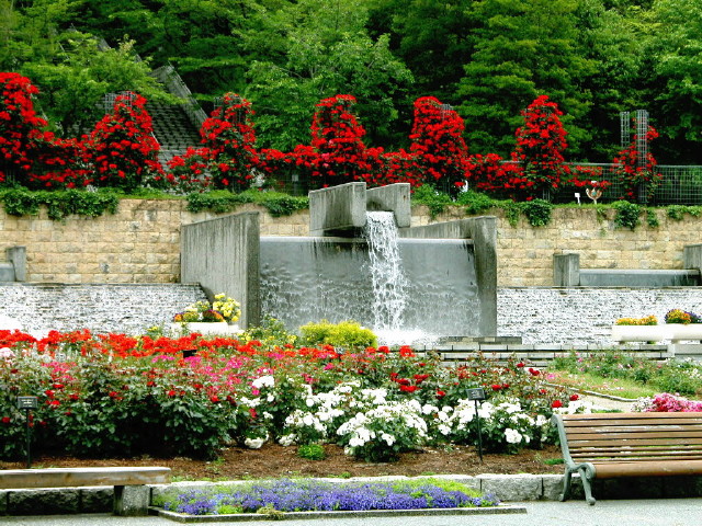 img0027.jpg