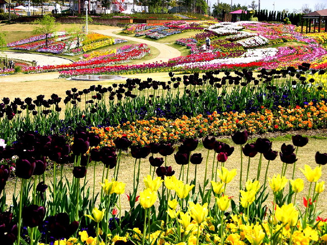 img0030.jpg