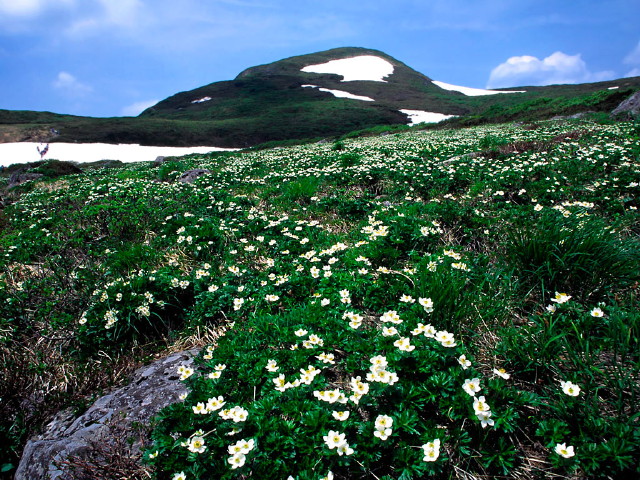 img0036.jpg