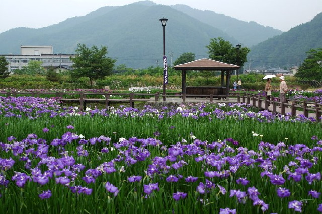 img0037.jpg