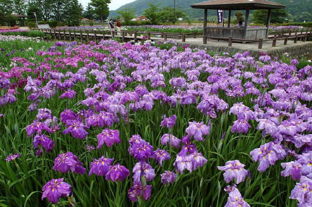 img0038.jpg