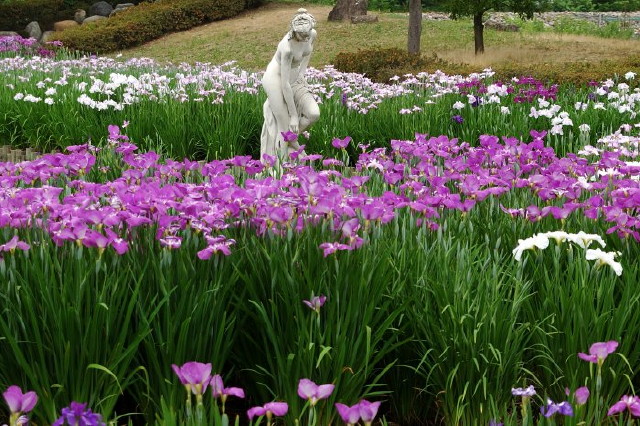 img0039.jpg