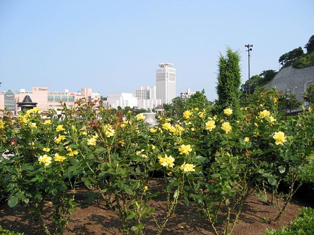 img0041.jpg