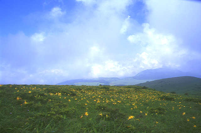 img0043.jpg