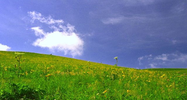 img0045.jpg