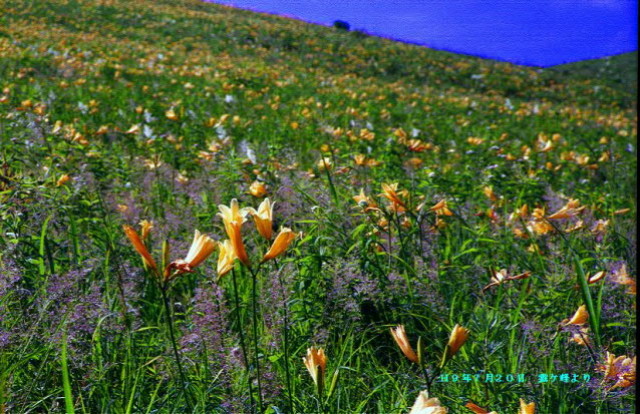 img0046.jpg