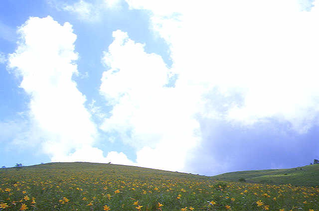img0049.jpg