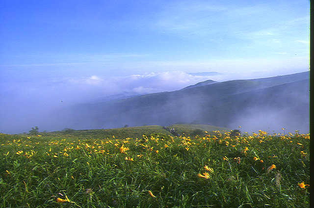 img0051.jpg