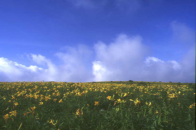 img0053.jpg