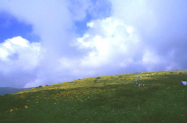 img0054.jpg