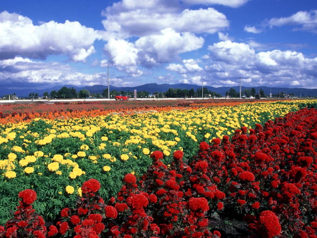 img0057.jpg