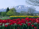 img0007.jpg