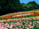 img0011.jpg
