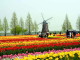 img0016.jpg