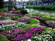img0018.jpg
