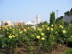 img0041.jpg