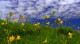 img0047.jpg