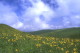 img0048.jpg