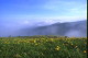img0051.jpg