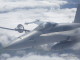 img0029.jpg
