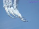 img0041.jpg