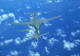 img0011.jpg