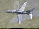 img0061.jpg