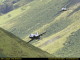 img0069.jpg