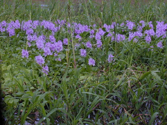 img0007.jpg