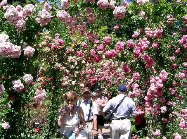 img0004.jpg