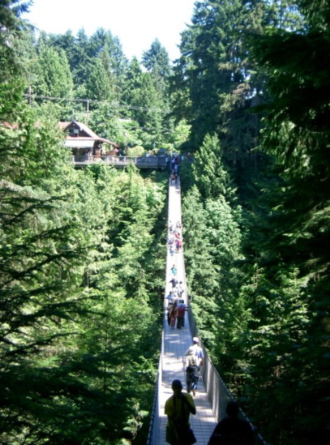 img0006.jpg
