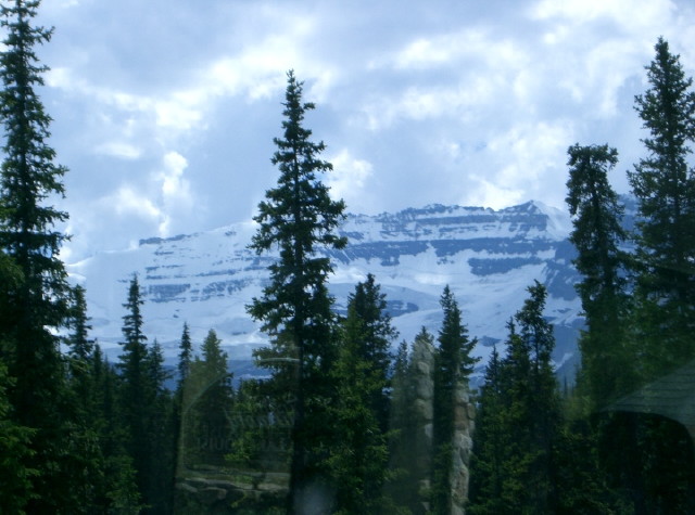 img0009.jpg