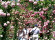 img0004.jpg