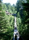 img0006.jpg