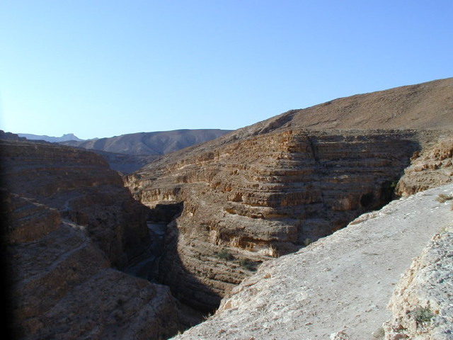 img0001.jpg